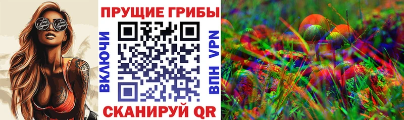 Купить где  Феодосия  Псилоцибиновые грибы Psilocybine cubensis 